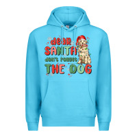 Ocean Blue dear santa dont forget the dog Premium Hoodie - MaliasSmallBusiness