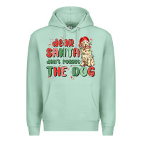 Seafoam dear santa dont forget the dog Premium Hoodie - MaliasSmallBusiness