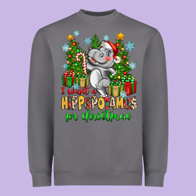 I Want A Hippopotamus For Christmas Heavyweight Sweatshirt Designed By Zillion Design Studio