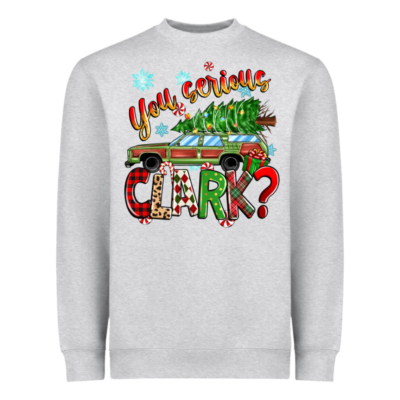 You Serious Clark Heavyweight Sweatshirt by Zillion Design Studio | Teevron