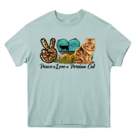 Arona Peace Love Persian Cat Heavy Core Tee - LillyAllenDesigns