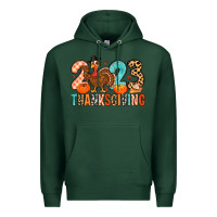 Sports Green 2023 thanksgiving Premium Hoodie - MaliasSmallBusiness