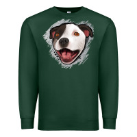 Sports Green pittbull gray glitter Premium Sweatshirt - Jasminsmagicworld