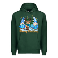 Sports Green merry christmas gnome Premium Hoodie - MaliasSmallBusiness