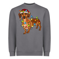 Storm Dachshund Christmas Lights Heavyweight Sweatshirt - RanaPortraitStore