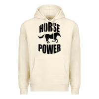 Sandshell Horse Power Premium Hoodie - Bettercallsaul