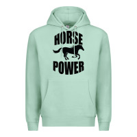 Seafoam Horse Power Premium Hoodie - Bettercallsaul