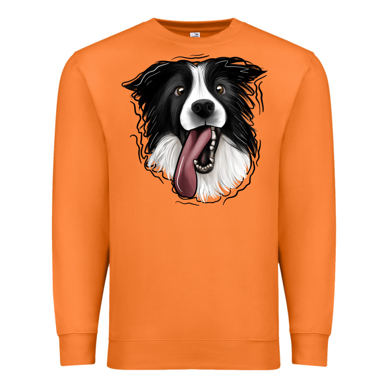 Border Collie Premium Sweatshirt by Jasminsmagicworld | Teevron