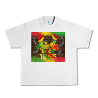 Lunar Rock free ish since 1865 Urban Heavy Tee - BarkalooDesign