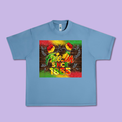 Free Ish Since 1865 Urban Heavy Tee Designed By Barkaloodesign