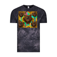 Cloud Black bear tumbler Vintage Tee - BarkalooDesign