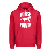 Cardinal Horse Power Premium Hoodie - Bettercallsaul