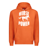 Carrot Horse Power Premium Hoodie - Bettercallsaul