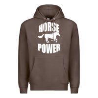Coffee Horse Power Premium Hoodie - Bettercallsaul