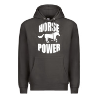 Smoke Horse Power Premium Hoodie - Bettercallsaul