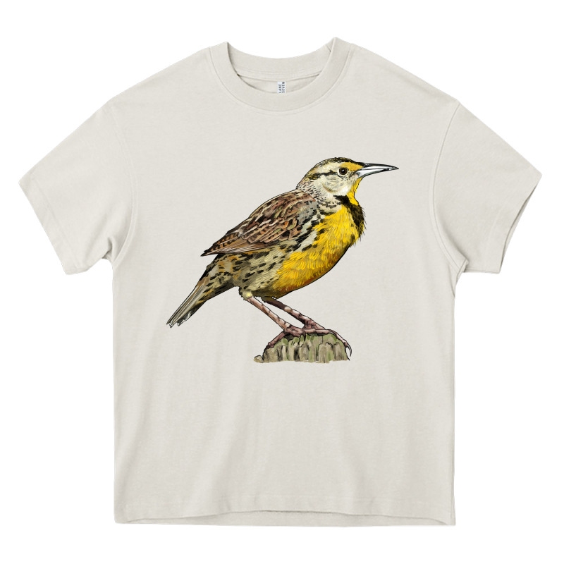 Western Meadowlark Heavy Core Tee by LillyAllenDesigns | Teevron