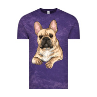 French Bulldog Sitting Vintage Tee | Teevron