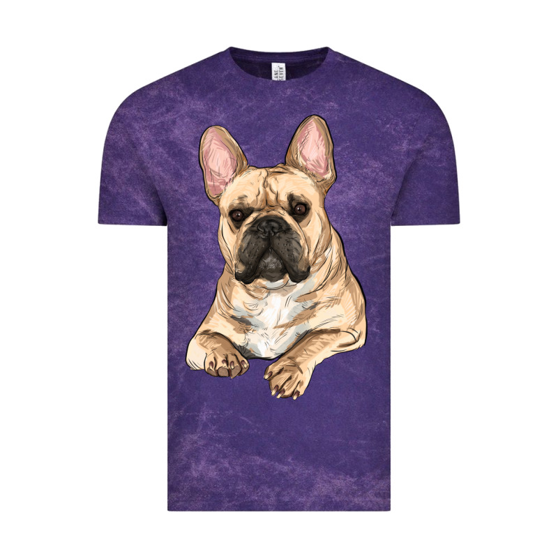 French Bulldog Sitting Vintage Tee by RanaPortraitStore | Teevron
