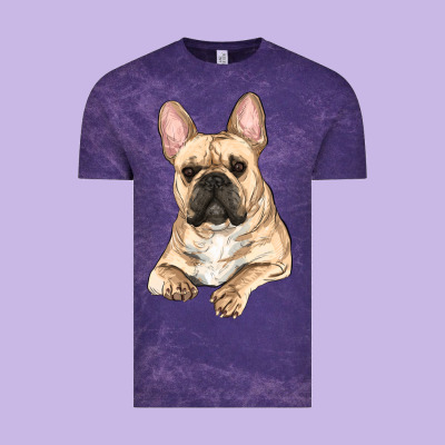 French Bulldog Sitting Vintage Tee Designed By Ranaportraitstore
