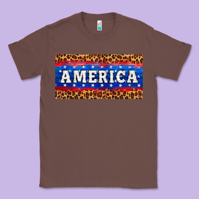 America License Plate Classic Tee Designed By Hra Design Shop