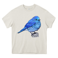 Cream Mountain Bluebird Heavy Core Tee - LillyAllenDesigns