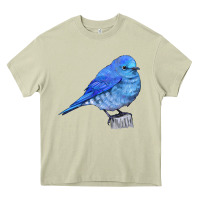 Mossy Mountain Bluebird Heavy Core Tee - LillyAllenDesigns