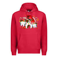 Cardinal dental Christmas teeth and candies Premium Hoodie - AdoDesignShop