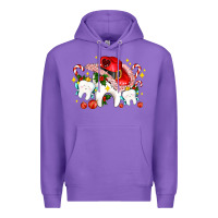 Dental Christmas Teeth And Candies Premium Hoodie | Teevron