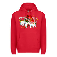 Red dental Christmas teeth and candies Premium Hoodie - AdoDesignShop
