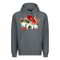 Rock dental Christmas teeth and candies Premium Hoodie - AdoDesignShop