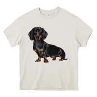 Cream Dachshund Dog Illustrations Heavy Core Tee - LillyAllenDesigns