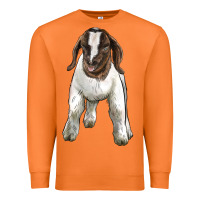 Carrot baby boer goat Premium Sweatshirt - LillyAllenDesigns