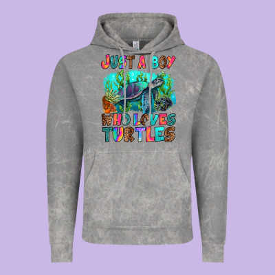 Vintage Hoodie just a boy who loves turtles