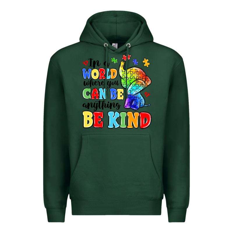 In A World Where You Can Be Anything Be Kind Premium Hoodie by MaliasSmallBusiness | Teevron