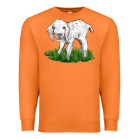 Carrot Baby Angora Goat Premium Sweatshirt - LillyAllenDesigns