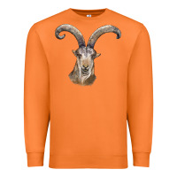 Carrot spanish goat face Premium Sweatshirt - LillyAllenDesigns
