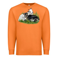 Carrot two baby nigerian dwarf goat Premium Sweatshirt - LillyAllenDesigns