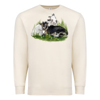 Sandshell two baby nigerian dwarf goat Premium Sweatshirt - LillyAllenDesigns