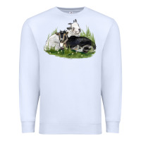 White two baby nigerian dwarf goat Premium Sweatshirt - LillyAllenDesigns