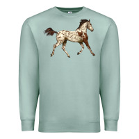 Seafoam Appaloosa Horse Premium Sweatshirt - LillyAllenDesigns