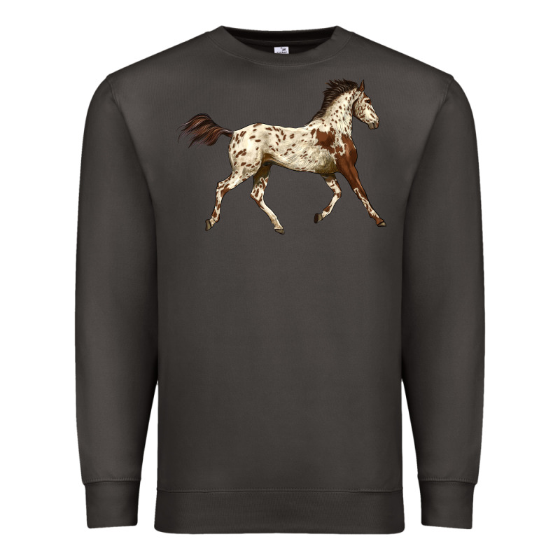 Appaloosa Horse Premium Sweatshirt by LillyAllenDesigns | Teevron