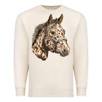 Sandshell appaloosa horse Premium Sweatshirt - LillyAllenDesigns