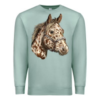 Seafoam appaloosa horse Premium Sweatshirt - LillyAllenDesigns