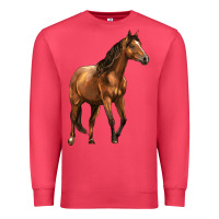 Cardinal Quarter Horse Premium Sweatshirt - LillyAllenDesigns