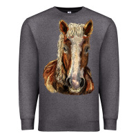 Charcoal Heather Belgian Horse Premium Sweatshirt - LillyAllenDesigns