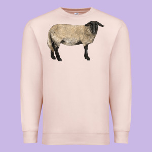 Suffolk Sheep Premium Sweatshirt Designed By Lillyallendesigns