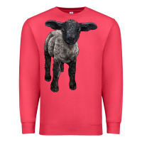 Cardinal suffolk baby sheep Premium Sweatshirt - LillyAllenDesigns