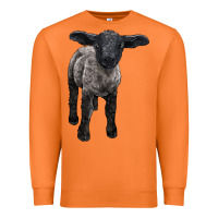 Carrot suffolk baby sheep Premium Sweatshirt - LillyAllenDesigns