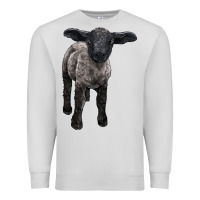 Dove Grey suffolk baby sheep Premium Sweatshirt - LillyAllenDesigns