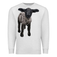 Oatmeal Heather suffolk baby sheep Premium Sweatshirt - LillyAllenDesigns